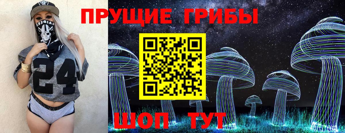 Псилоцибиновые грибы Psilocybine cubensis Новоалександровск